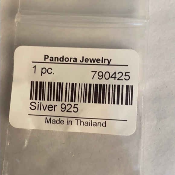 NWT Pandora messenger charm - Picture 6 of 6
